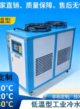 厂家直销化工医药用-10℃精准控温冷却循环1-40HP低温工业冷水机