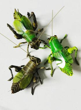 中国非遗棕编工艺礼品摆饰纯手工编织螽斯成品摆件家居装饰品创意