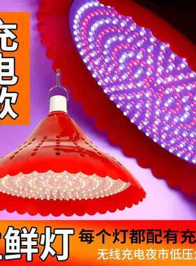 可充电款LED水果灯调色生鲜灯夜市摆摊专用熟食灯 市场停电猪肉灯