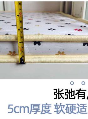 天棕榈上床垫5m厚单人243偏硬然榻榻米垫子下床棕榈c垫折叠家用成