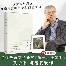 文学的意思 黄子平 随笔代表作 二十世纪中国文学概念提出者 中国当代文学 领读 天津人民出版社