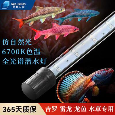 尼奥st鱼缸灯电龙鱼专用灯吉罗灯日光发色灯LED鱼缸灯增艳增色灯