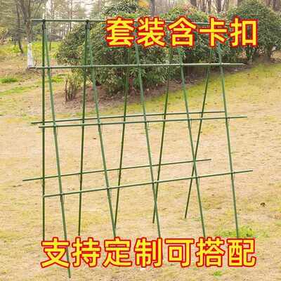 黄瓜爬藤架四季豆角架杆蔬菜棚西红柿架种菜农用拱棚搭架子种植