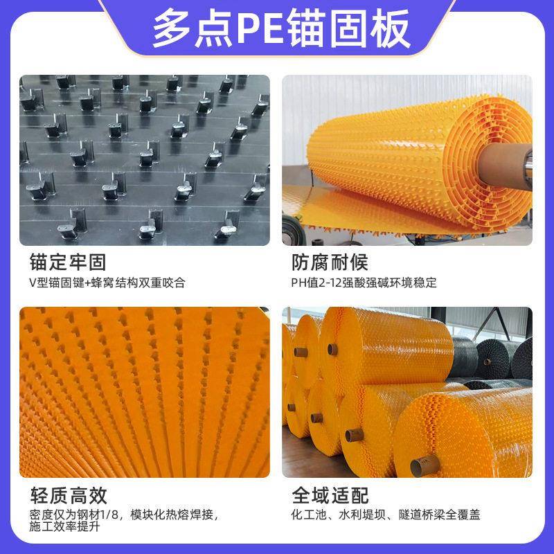聚乙烯多点pe锚固板排水沟钢筋混凝土防渗聚乙烯内衬板pe速格垫