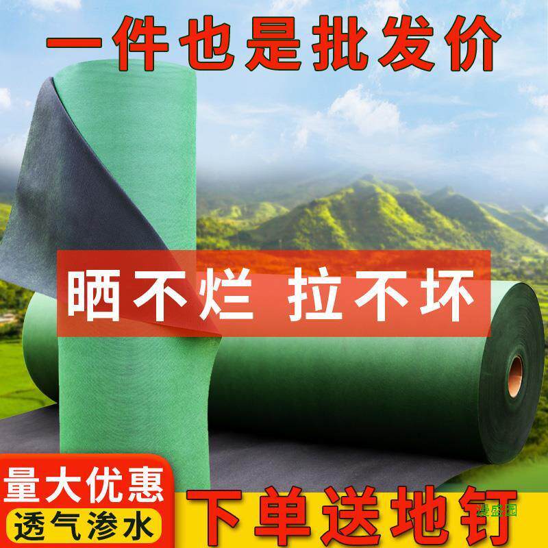 果树农用除草防草布保湿绿黑开孔果园遮草布透气布加厚地膜可降解