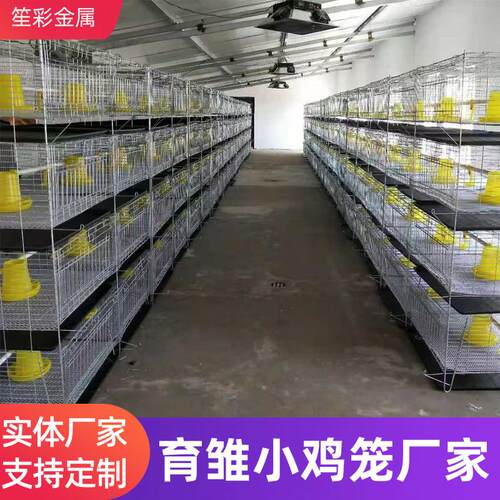 简易四层立体育雏笼小鸡笼家禽养殖畜牧养鸡含粪盘水箱鸡笼设备