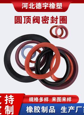硅胶密圈封件插入密封圈式切换QPT阀密封圈电厂圆顶阀阀减震垫片