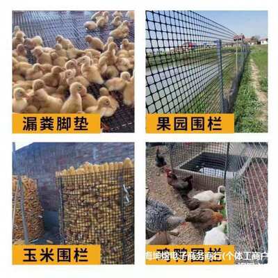 塑料围网养殖防护拦鸡鸭胶网家用菜园玉米护栏栅栏户外养鸡围栏网