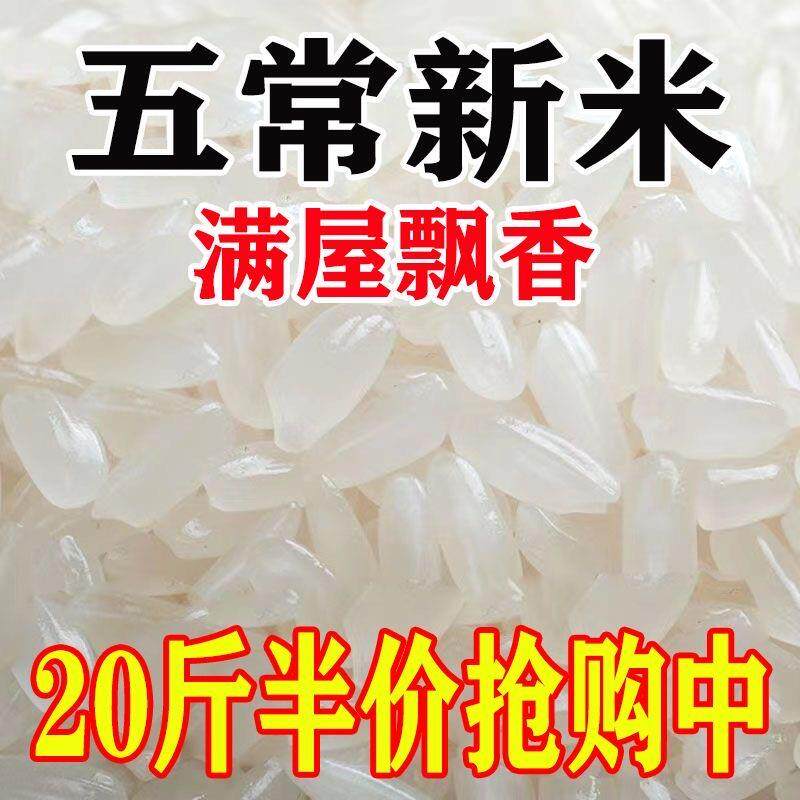 【新米】正宗五常稻花香米长粒香米3斤10斤20斤厂家直销大米