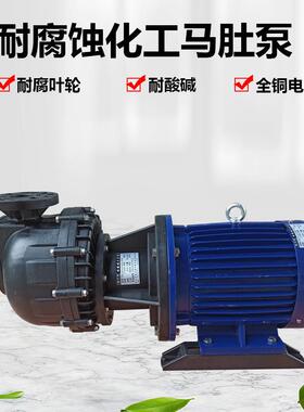 胜川宝CM-50102NBH-CCH大头泵马肚泵防腐化工泵自吸泵电镀泵7.5KW