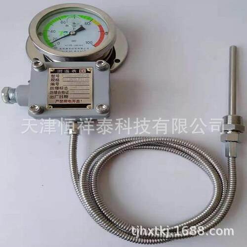 供应 WTZd-285z防震测温表 防爆表 WTZD-285d