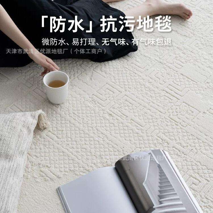 防水防污新西兰羊毛客厅地毯极简高级高端别墅家用隔音减震新款