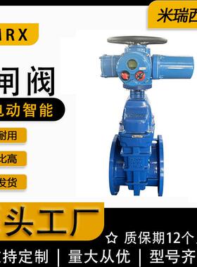 电动软密封闸阀暗杆弹性座封球墨铸铁闸阀调节型厂家Z945X-16Q