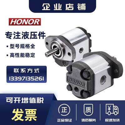 台湾HONOR钰盟 齿轮泵1GG1P01R/05R/06R/07R/09R双向马达2GG1P09R