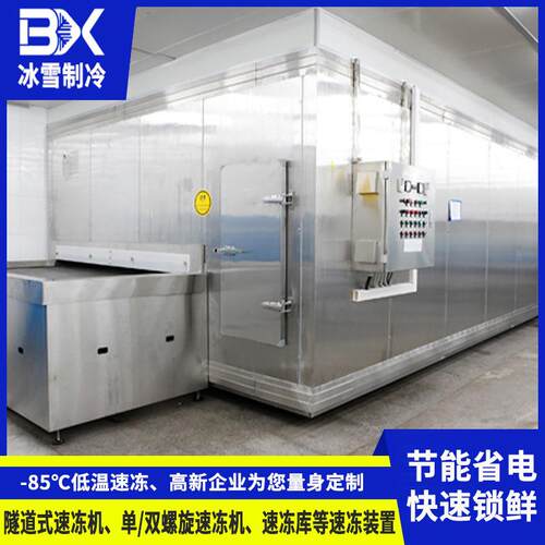 食品隧道式速冻设备100KG速冻机选急冻加工跨境热销