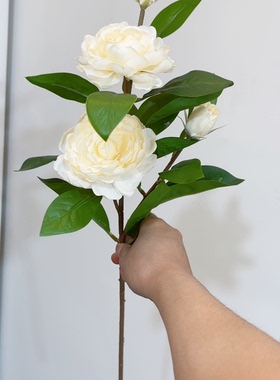 山茶花仿真花一支香槟色