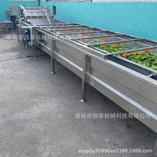 芒果火龙果清洗机绿色蔬菜气泡清洗机厂家直供气泡清洗机