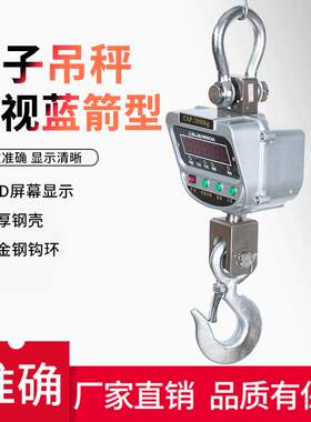 厂家行车秤吊称电子吊秤T5T10吨直视蓝箭型直视式吊钩称挂秤