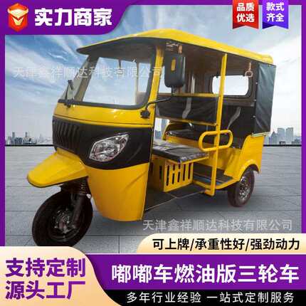 电动三轮车客运载客出口嘟嘟车tuktuk东南亚印度拉客营运差速电机