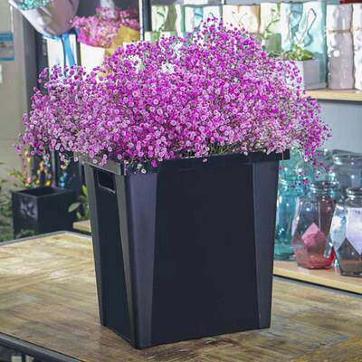 法式特大号鲜花桶黑色加厚塑料长方形插花花店养花桶储水桶醒花桶