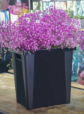 法式特大号鲜花桶黑色加厚塑料长方形插花花店养花桶储水桶醒花桶