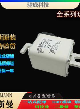 巴斯曼170M5971 170M5972 170M5973 现货直销零售 低压保险丝