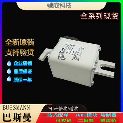 巴斯曼170M5971 170M5972 170M5973 现货直销零售 低压保险丝