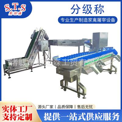 鸡爪等级分级机琵琶腿重量分选机厂家海参家禽重量分级称