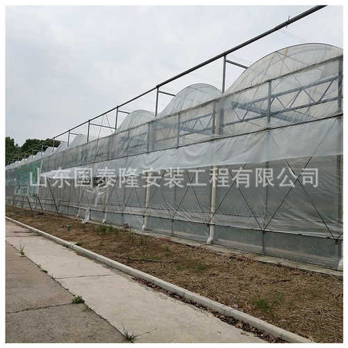 青州一站式服务厂家 薄膜温室大棚承接工程观光温室餐厅生态农业