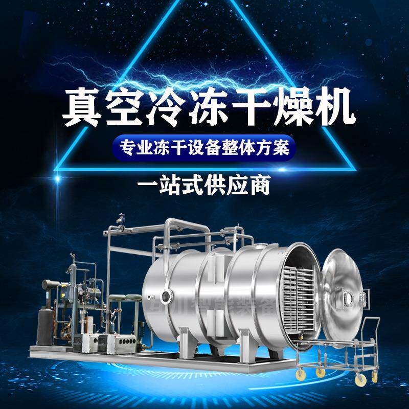 商用冻干中药液浓缩液真空冷冻干燥机 小型椰子肉脆块真空冻干机