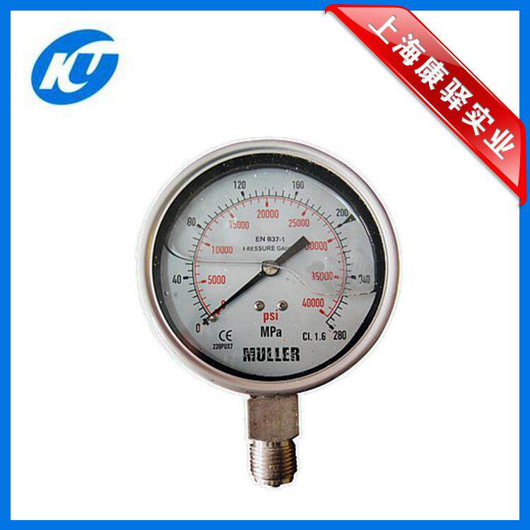 Y-ML100-200 MULLER 高压压力表 Y-ML100-200