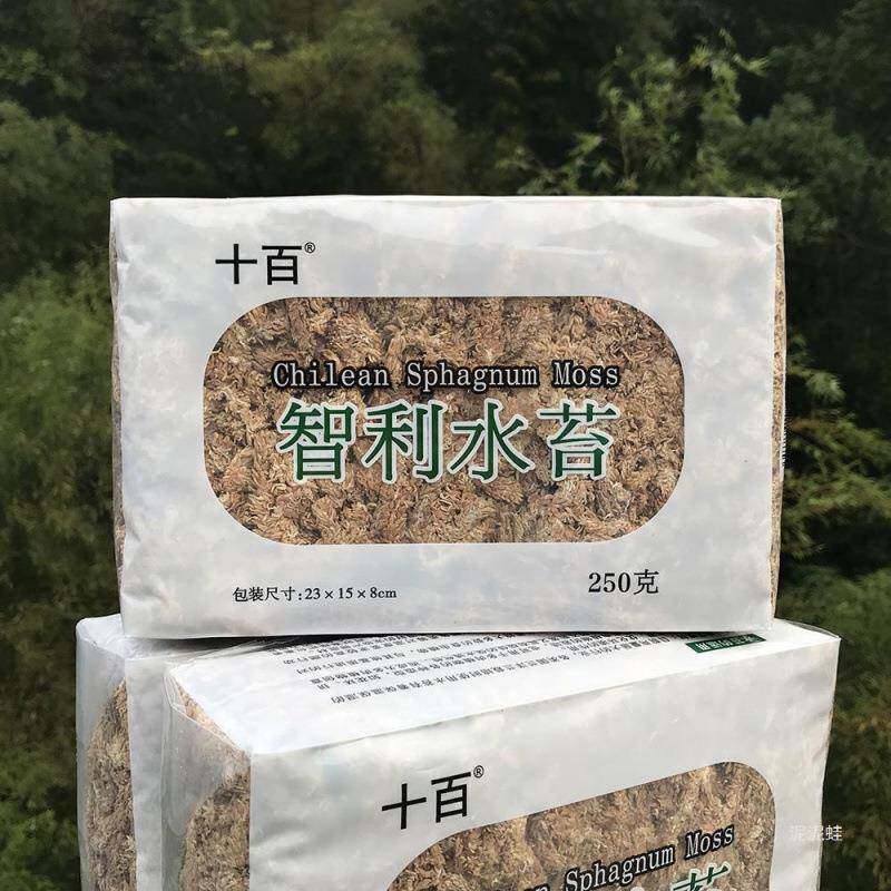 十百 智利水苔 兰花土蝴蝶兰土多肉土食虫植物捕蝇龟蛇冬眠垫材