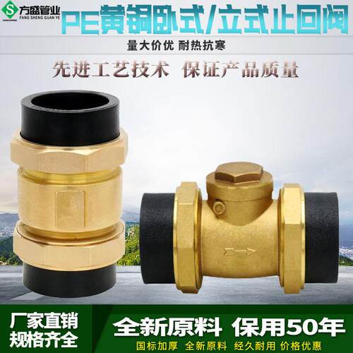 PE黄铜止回阀4/6分1寸卧式立式止阀内外丝水管道止逆阀DN40/50/63