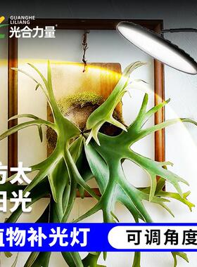 160w仿太阳全光谱室内led生长灯落地阳台花卉蔬菜专用植物补光灯