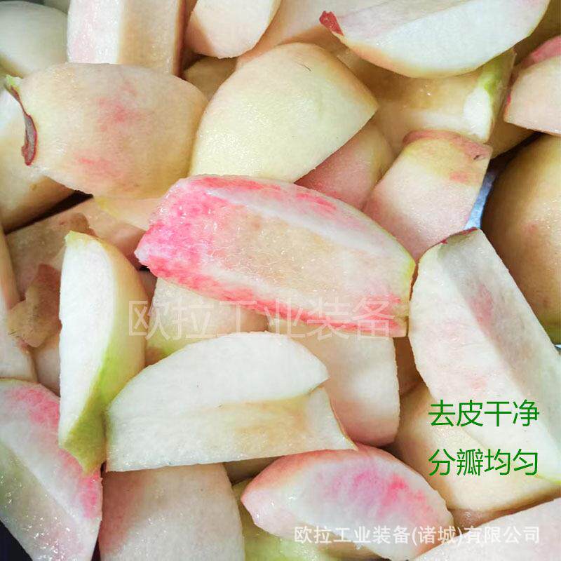 脆梨工业削皮去核机 水果去核设备 全自动去核加工生产线