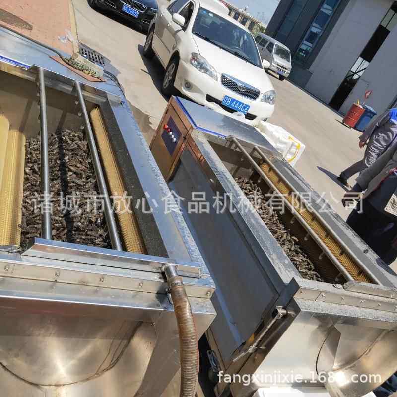 海参清洗 厂海家销直蜇清洗设备 海参毛机辊清洗机