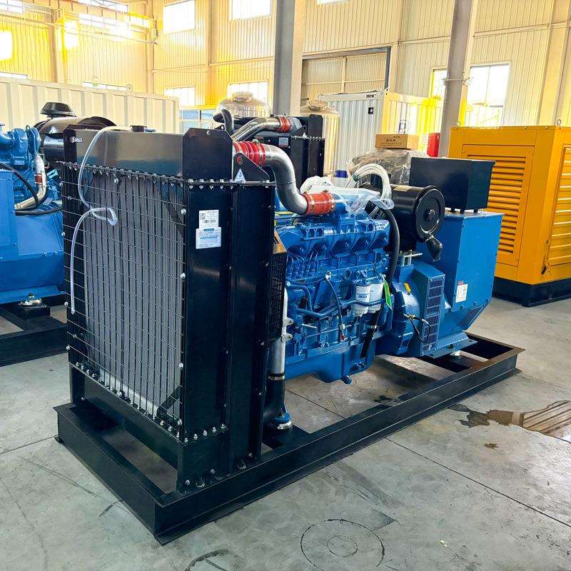 水产养殖备用电源 200kw柴油发电机组全铜无刷电机 养殖应急电源