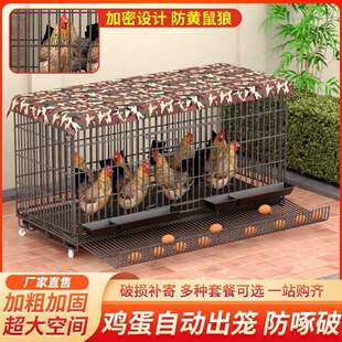 鸡笼子家用特大号家禽阳台笼养殖清粪室外自动滚蛋鸡窝鸡舍