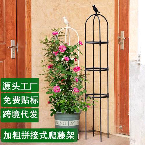 花架爬藤架月季铁线莲植物爬藤架绿植花卉防倒伏支撑杆园艺花支柱