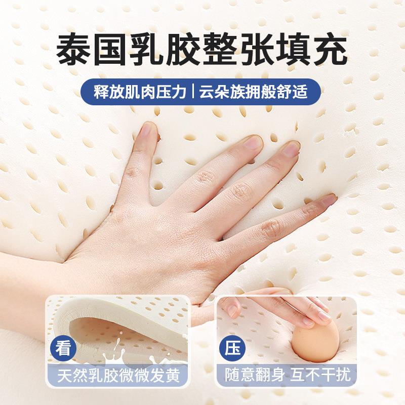 乳床遮盖物软垫家用打ZA地铺睡垫垫褥子胶学生宿舍单人地铺海绵垫