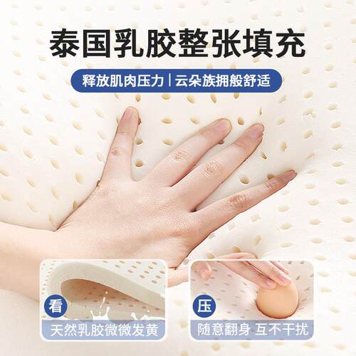 乳床遮盖物软垫家用打ZA地铺睡垫垫褥子胶学生宿舍单人地铺海绵垫