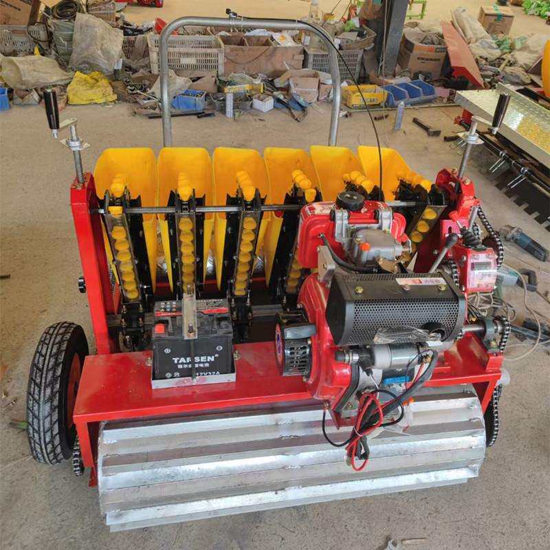 手推式汽油多行大蒜播种机株距可调种蒜机农业独蒜种植机