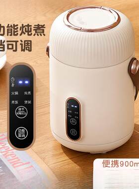 志便捷式养生迷你电炖杯小功率全自动电热煮粥煮茶智能定时保温高