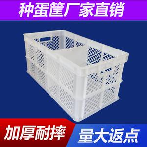 江苏羽佳新料隔板蛋箱45斤30斤鸡蛋周转筐塑料筐种蛋箱周转箱带盖
