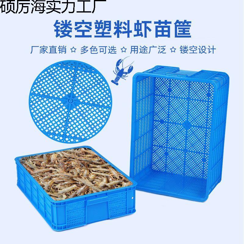 新周转塑料筐长方形镂空龙虾虾苗活虾运输筐甲鱼蔬菜水果筐子加密