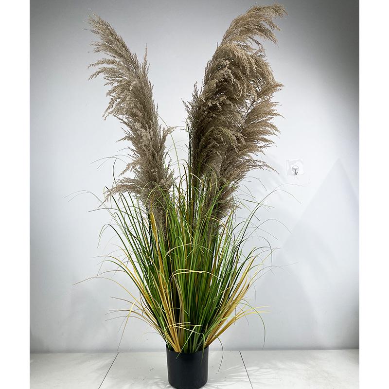 盆栽家居装饰植仿真仿真盆景绿绿绿草植物植洋葱仿真造景植摆件