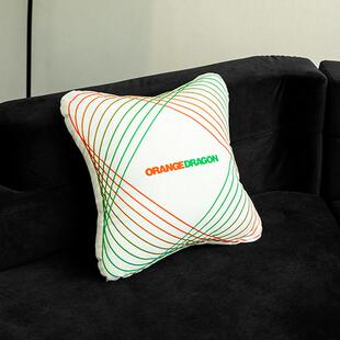 磁场螺旋印花黑白双面荷兰绒异形抱枕靠枕 25夏 ORANGEDRAGON