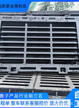 源头工厂定制铸铁雨水篦子多规格小区公园排水沟盖板球墨铸铁套篦