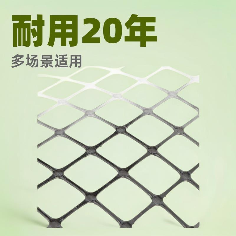 塑料围栏网养殖菜园栅栏户外家用农村拦鸡鸭鹅玉米胶网鱼塘防护网