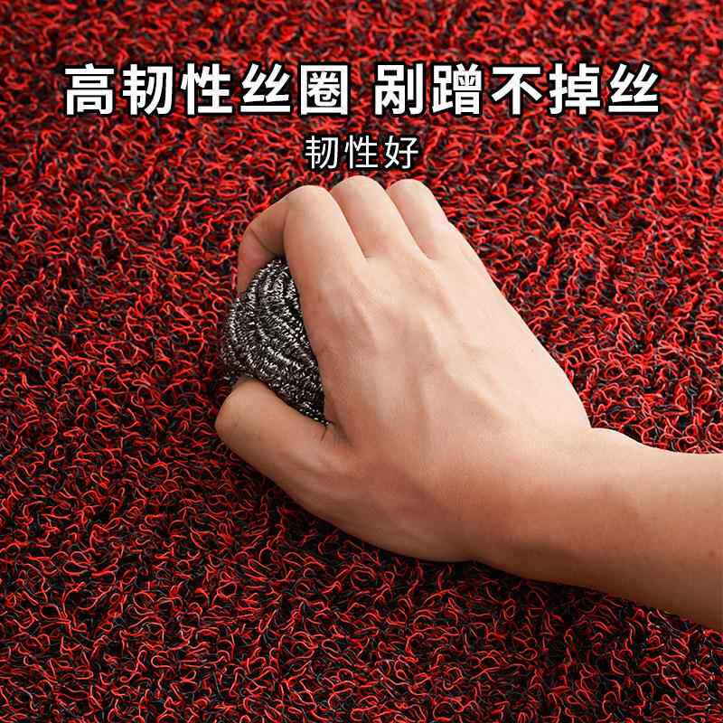 滑无品牌/汽车垫柔软丝圈脚垫入户进门垫浴室卫钉生底间防垫迎宾